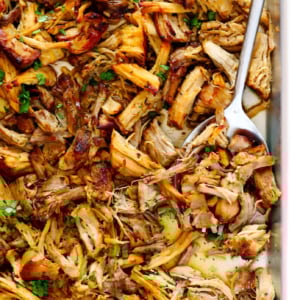 Instant Pot Carnitas Recipe