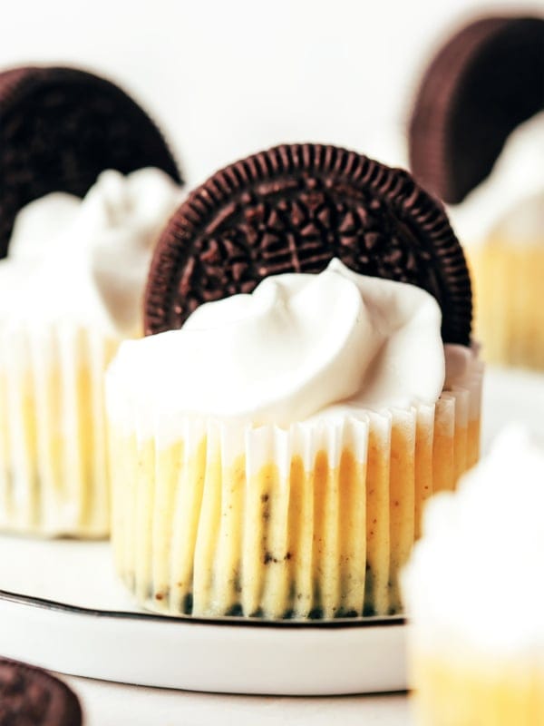Mini Oreo Cheesecakes